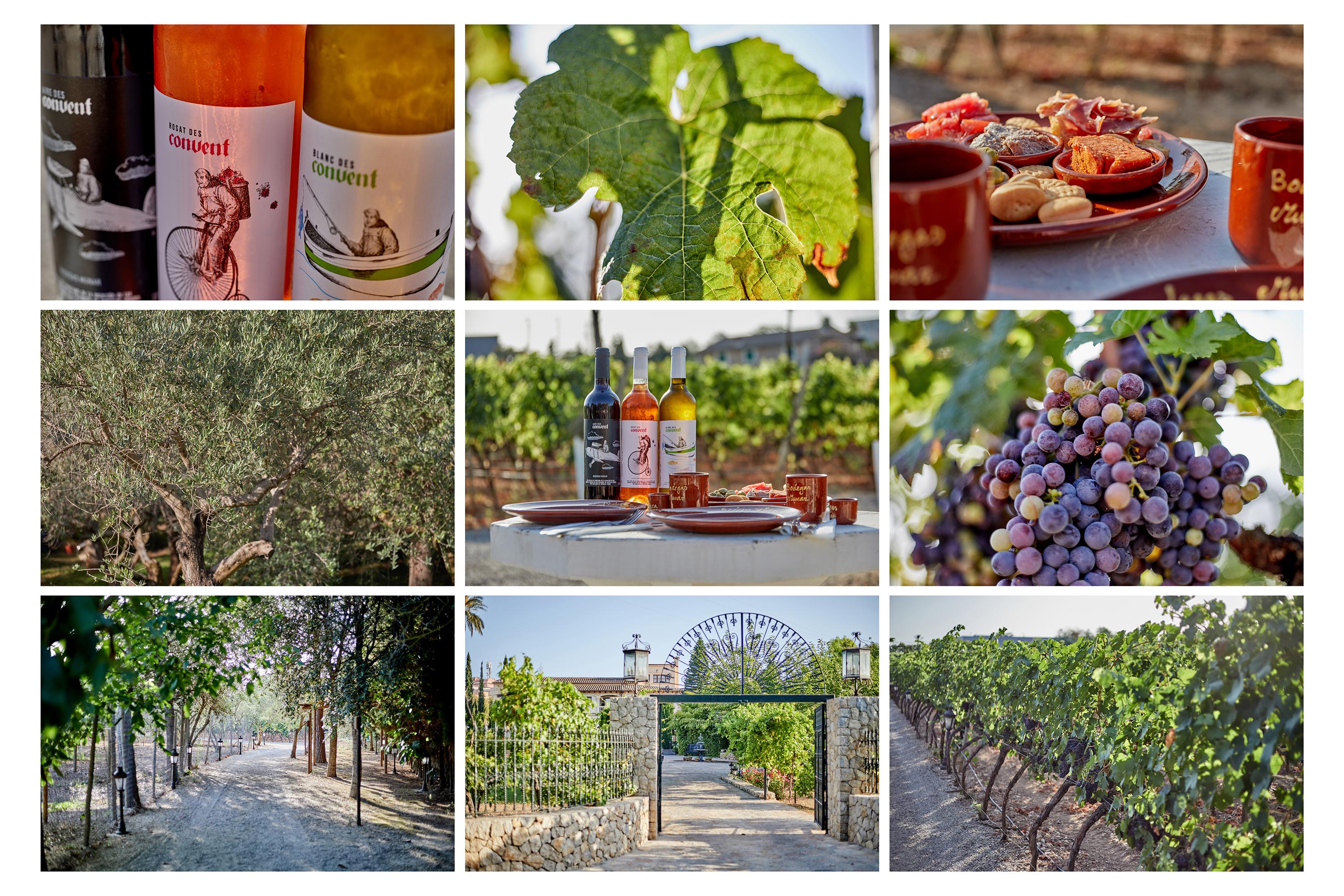 Agroturismo Sa Vinya Des Convent Инка Екстериор снимка